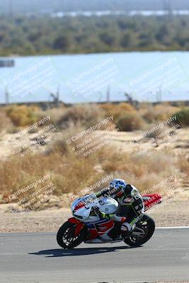 media/Jan-13-2024-SoCal Trackdays (Sat) [[9c032fe5aa]]/Turn 9 Backside (110pm)/